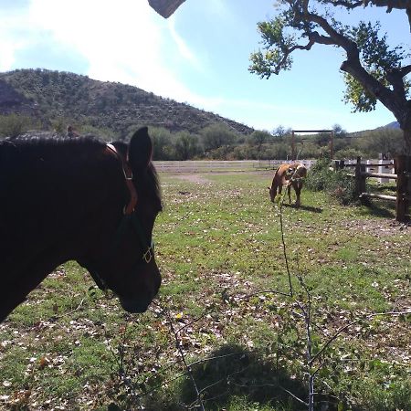Bed and Breakfast Rancho Santa Cruz Tubac Exterior foto